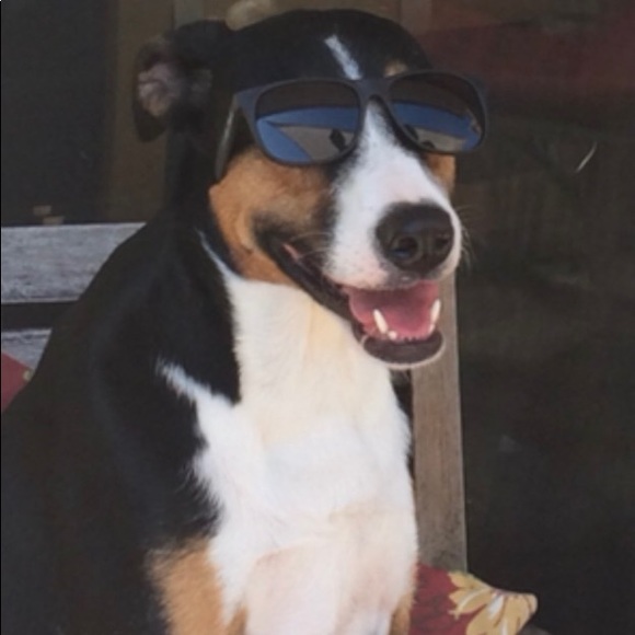 Meet your Posher, Eva - Picture 1 of 1